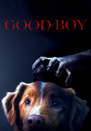 Good-Boy-2025